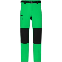 Men's Trekking Pants - Fern green/black