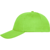 6 Panel Cap Bio Cotton - Lime Green