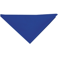 Triangular Scarf - Blue