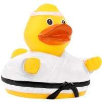 Squeaky duck martial arts - Multicoloured